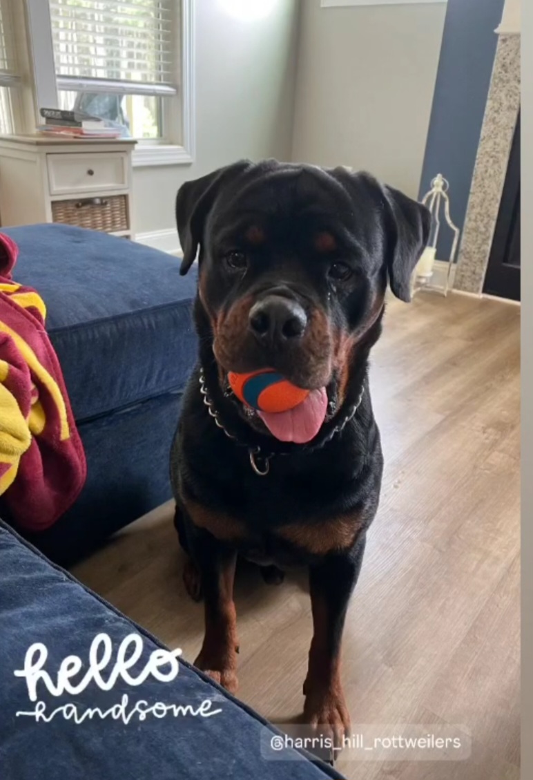 Photo of owner
