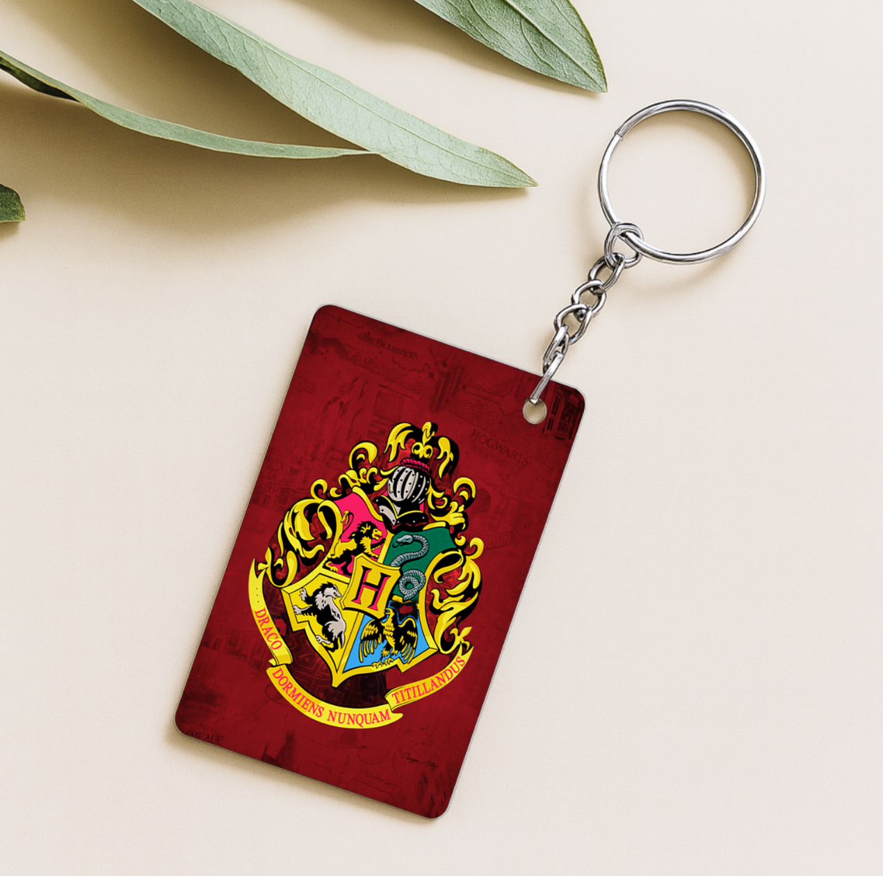 Harry Potter Keychain Combo Set of 4