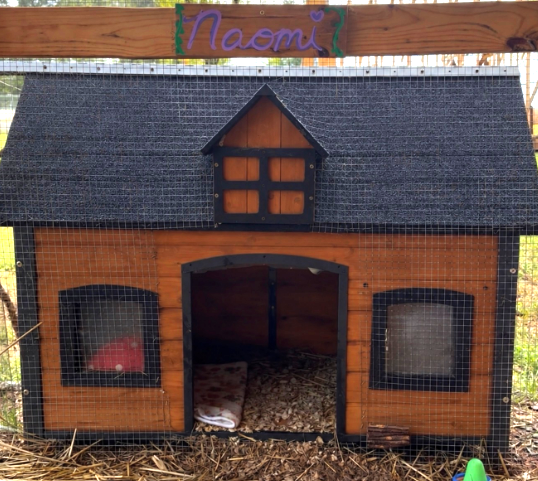 Naomi's hand-painted hutch