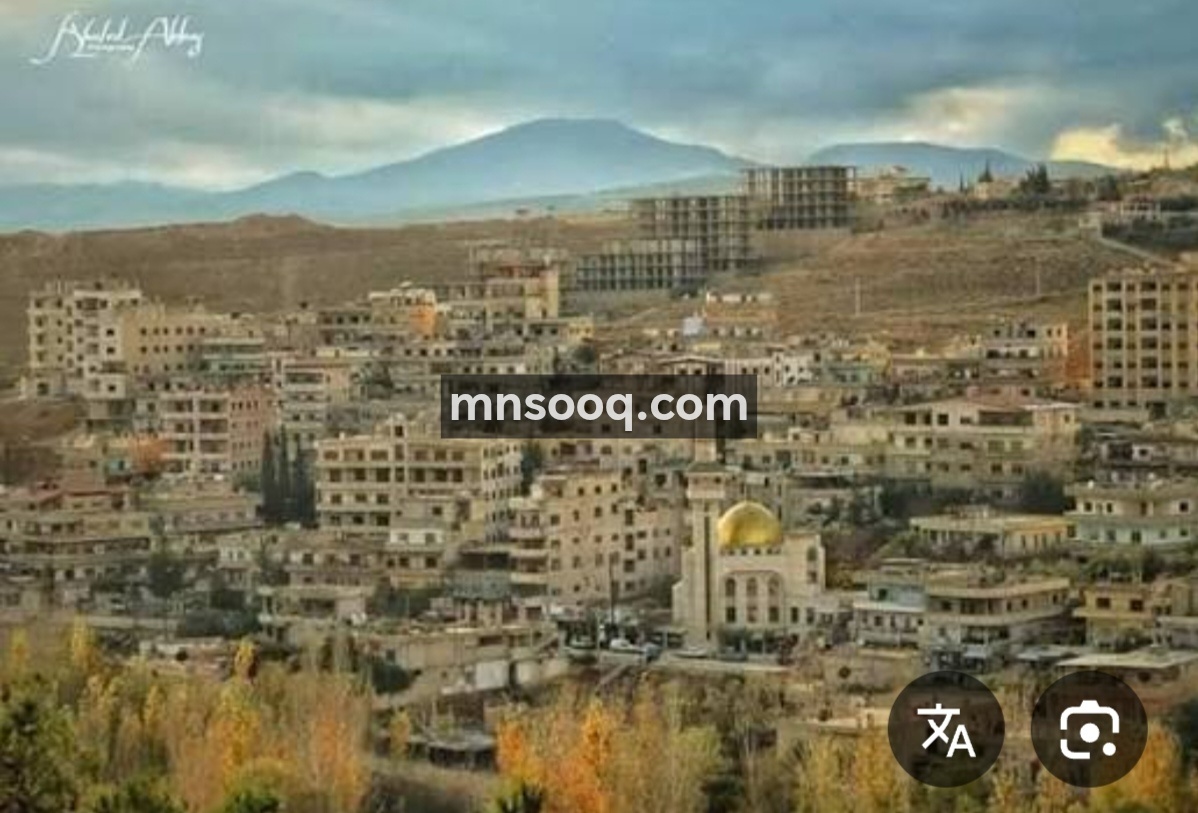  ارض في اشرفية الوادي 