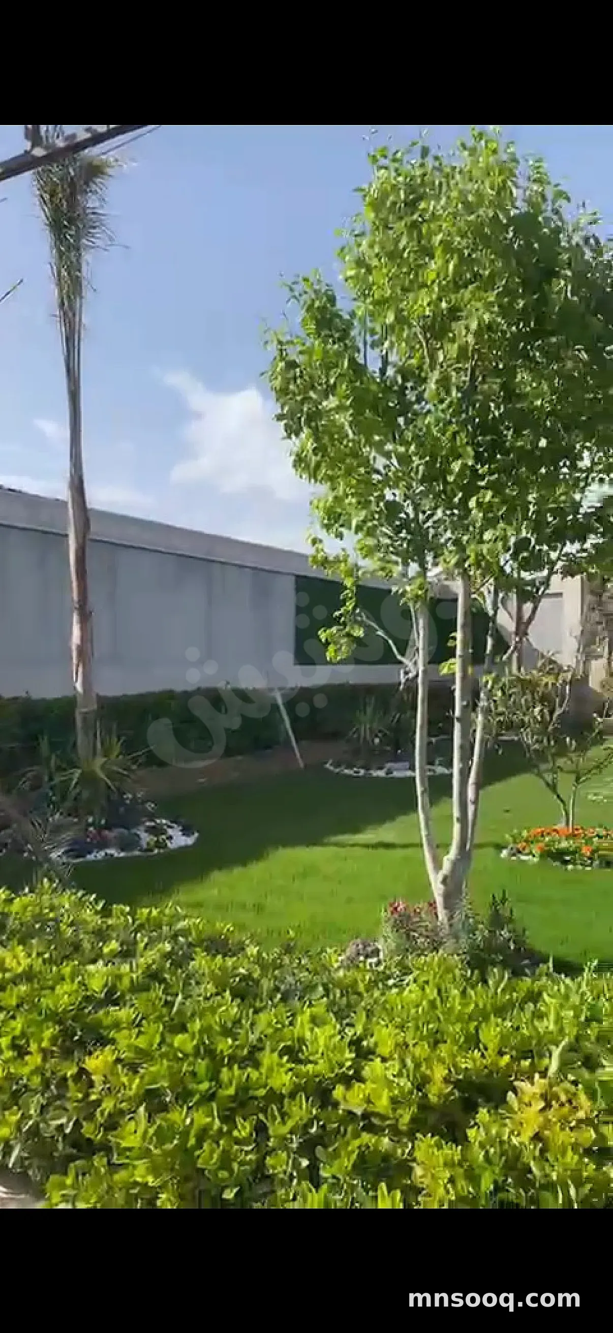 صورة الإعلان