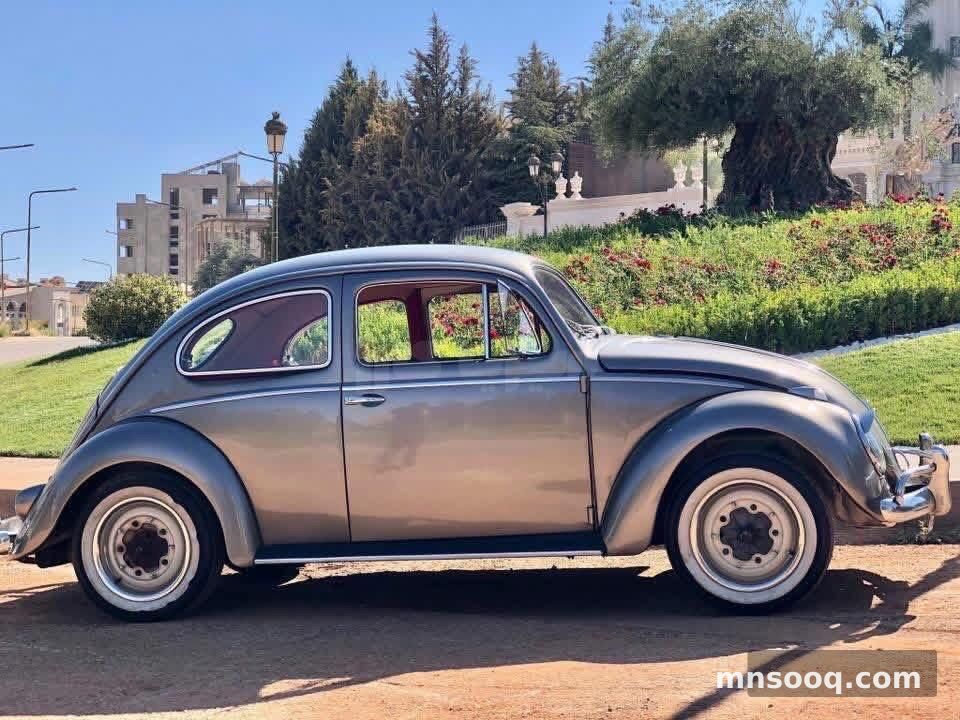 صورة الإعلان