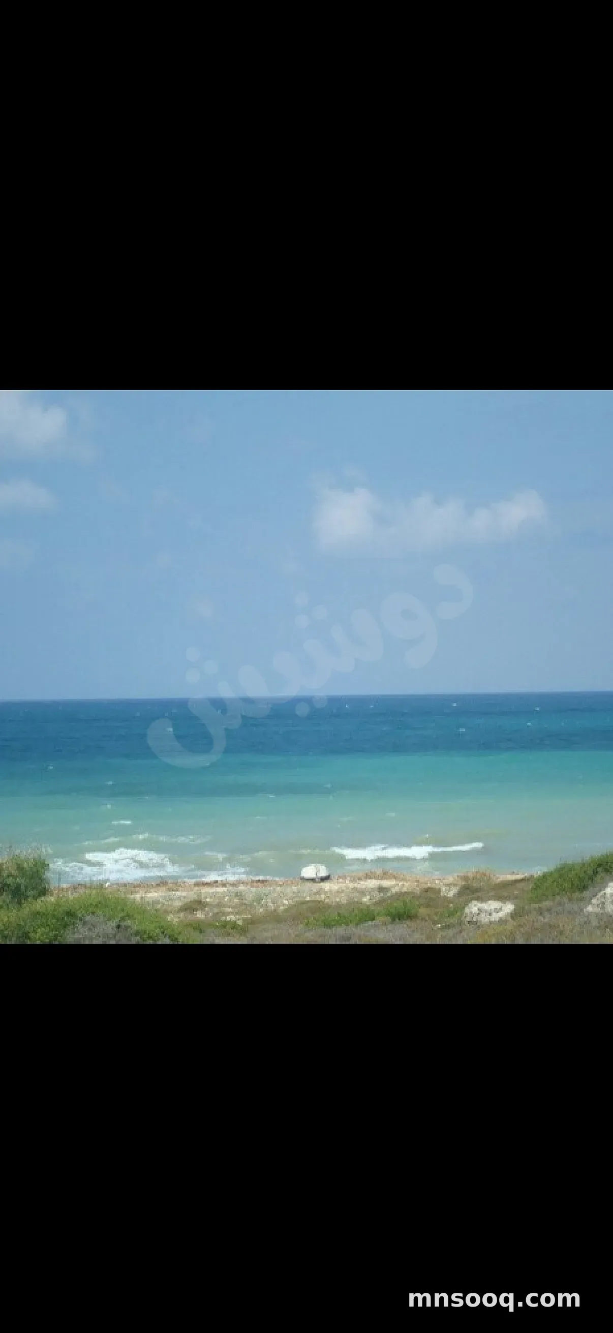 صورة الإعلان