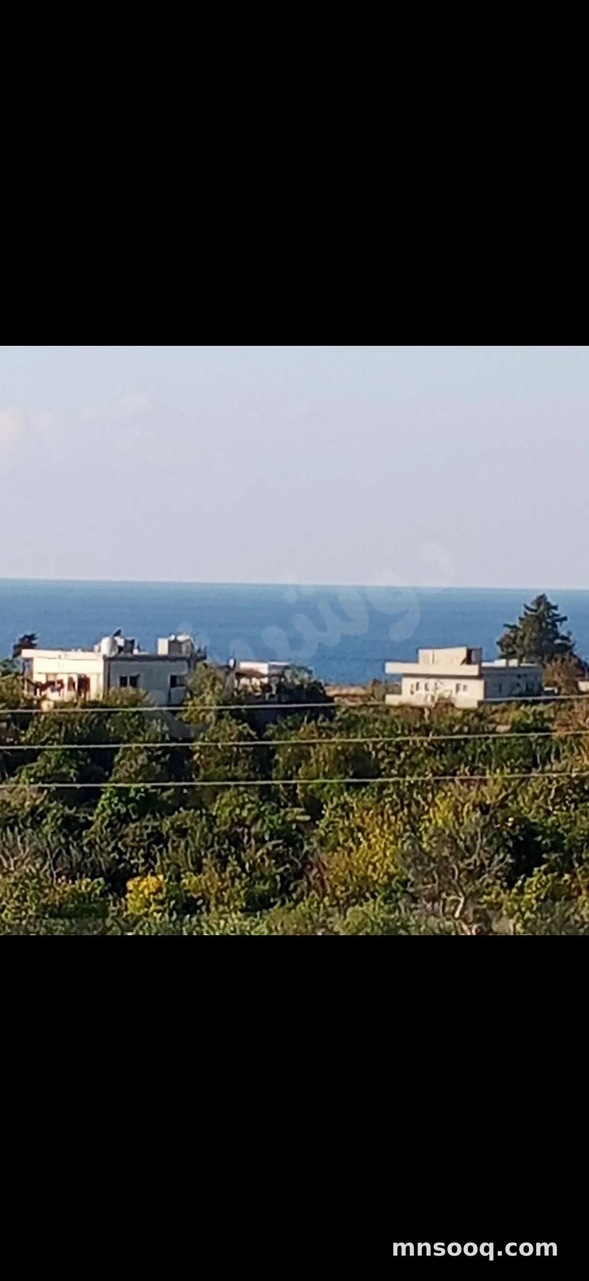 صورة الإعلان