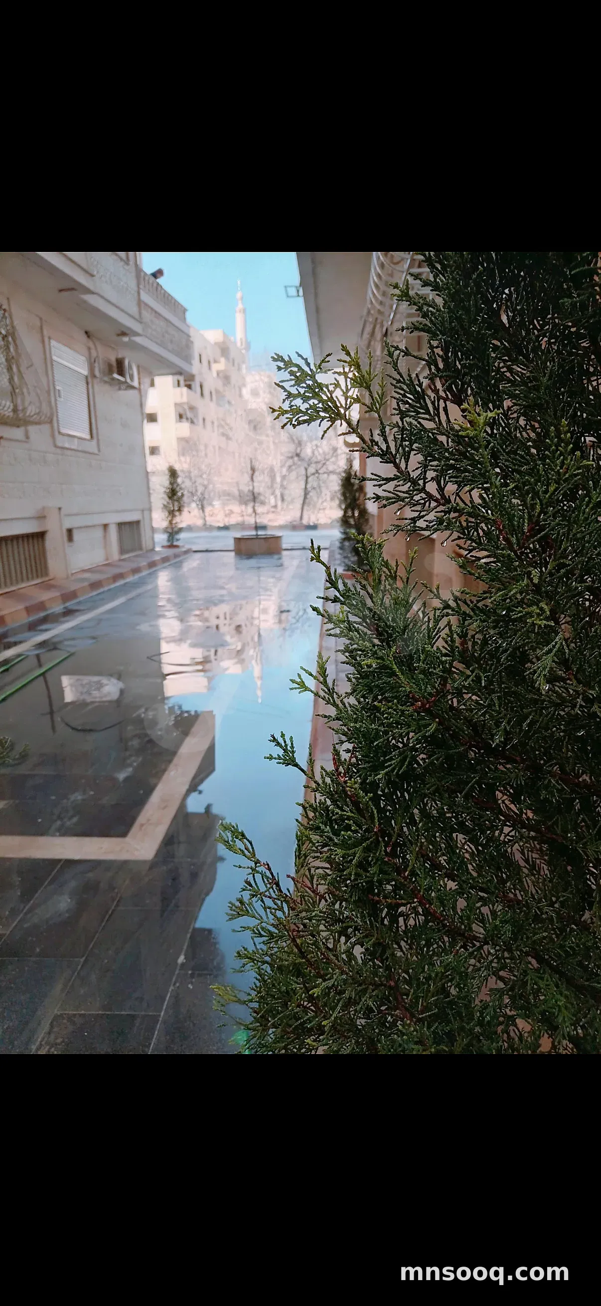 صورة الإعلان