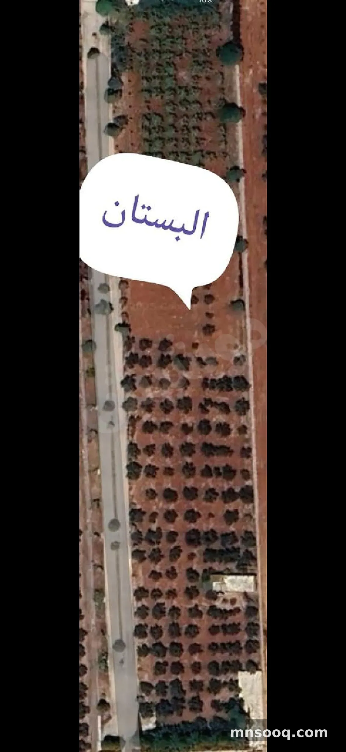 صورة الإعلان