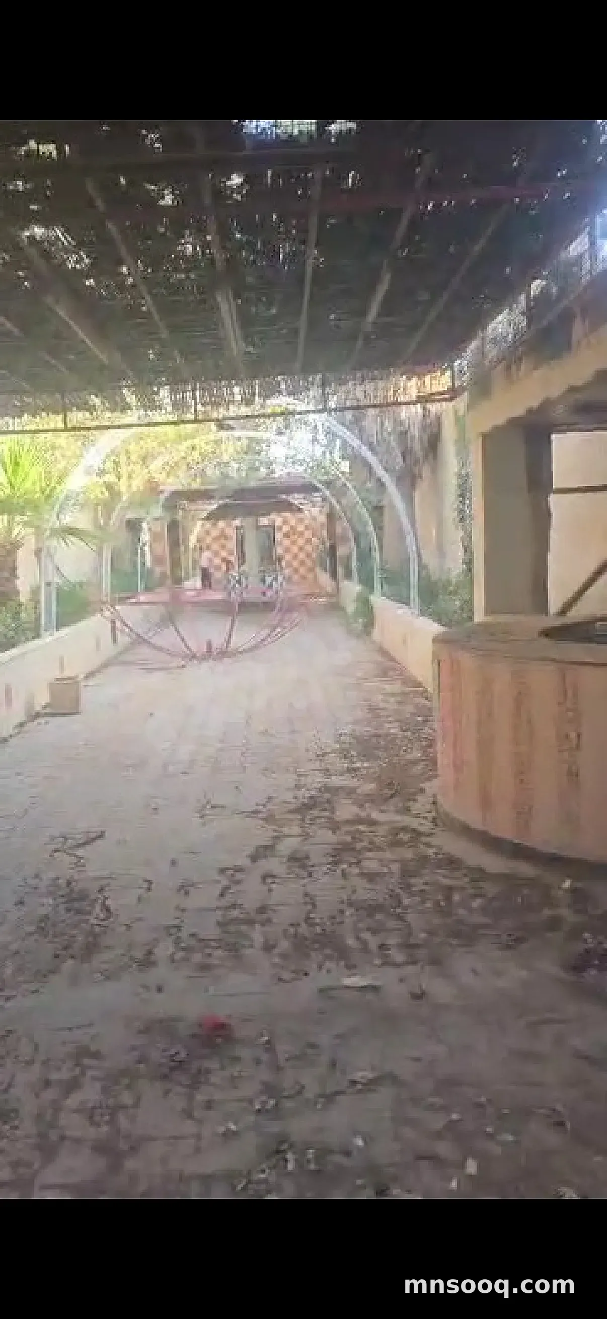 صورة الإعلان