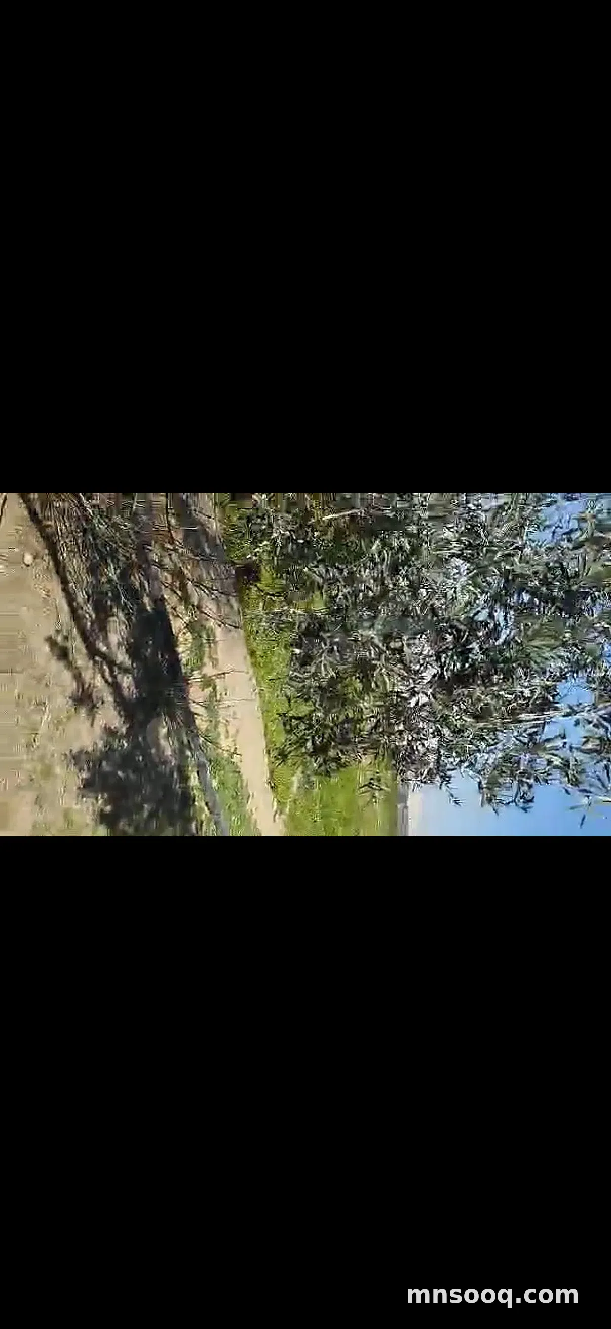 صورة الإعلان