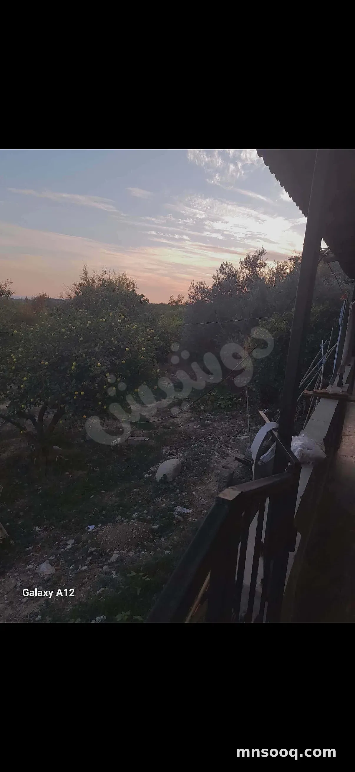 صورة الإعلان