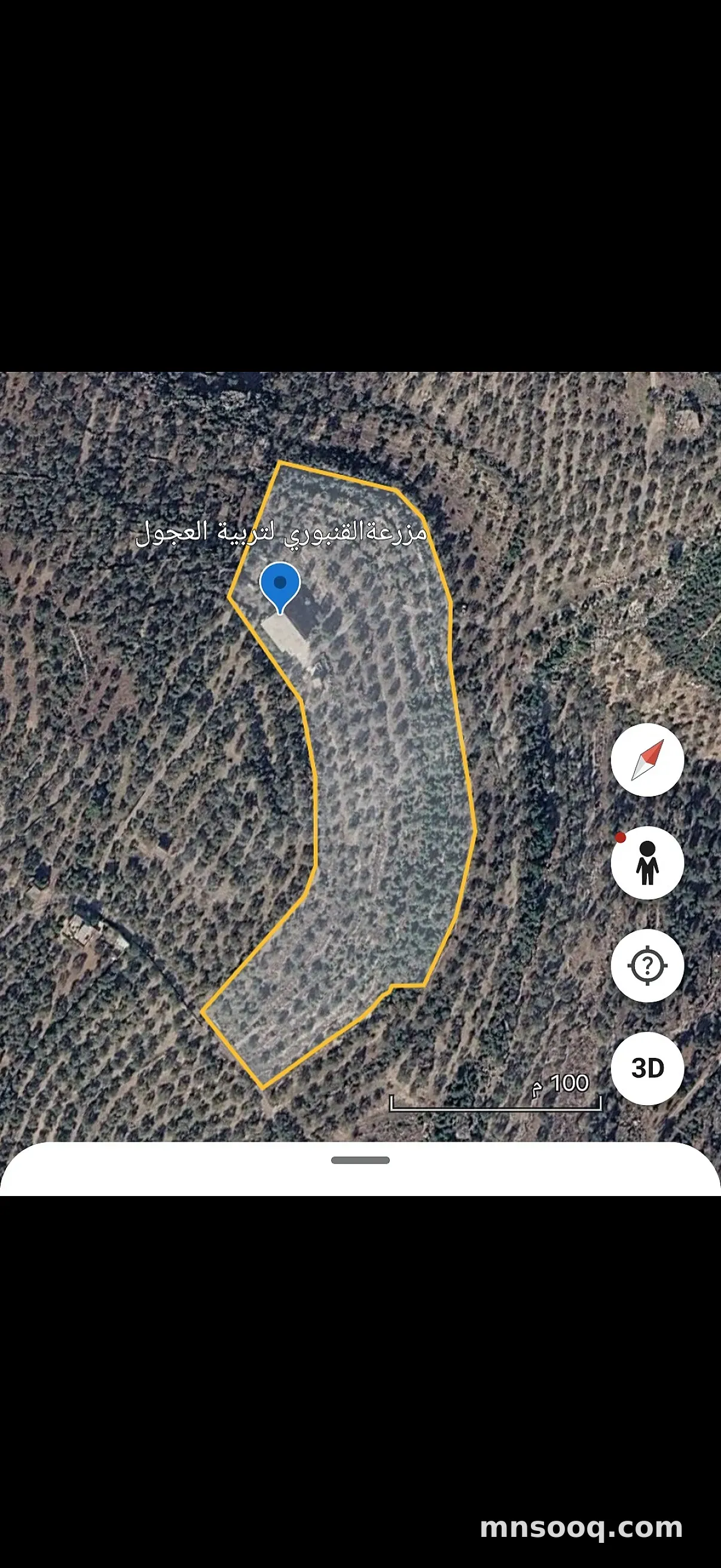 صورة الإعلان