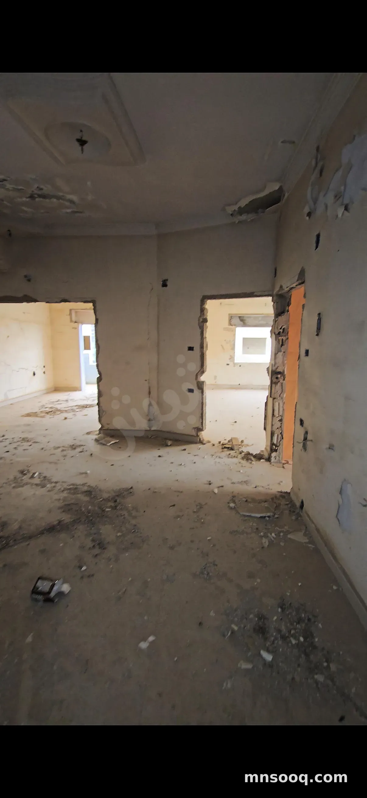 صورة الإعلان