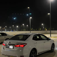 بیکاشۆ 2015 خلیجی