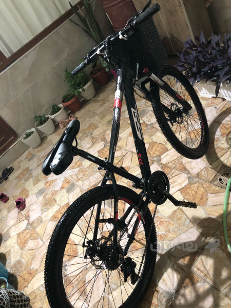 پـاسـكـيـل زۆر تـازە