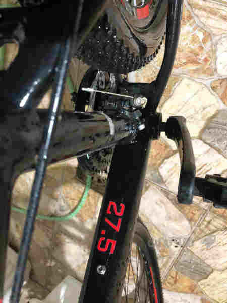 پـاسـكـيـل زۆر تـازە - 3