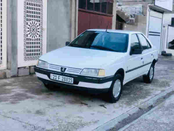 بژۆ 405 شتی تایبەت