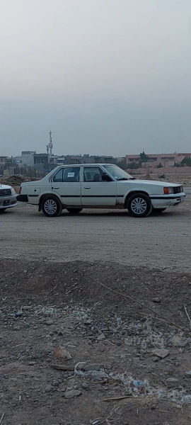 توێتا کڕاون  - 2