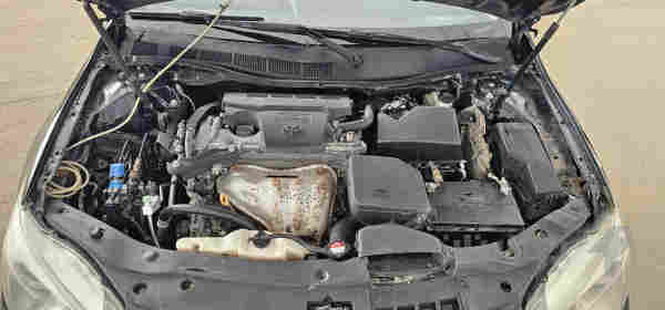 کامیری2017 - 5