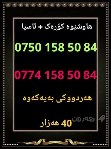 هاوشێوە کۆڕەک + ئاسیا 