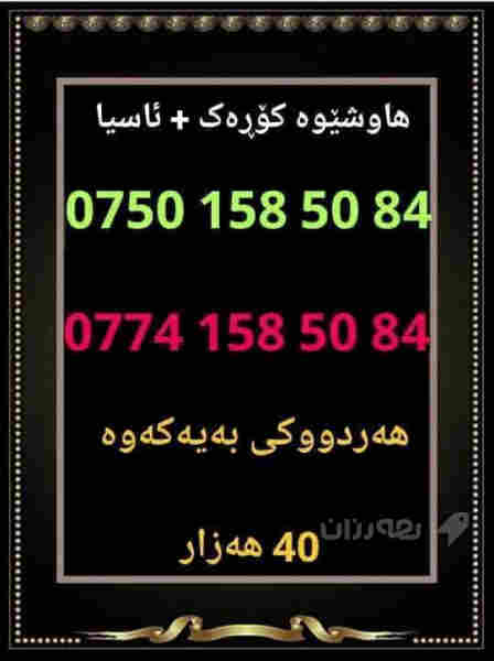 هاوشێوە کۆڕەک + ئاسیا 