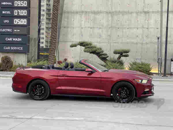 Ford mustang 2017 ecoboost primum ‏