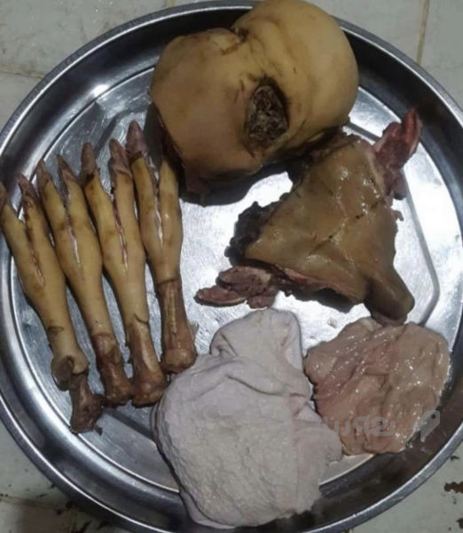 جوانترین و نایابترین سەروپێ - 2