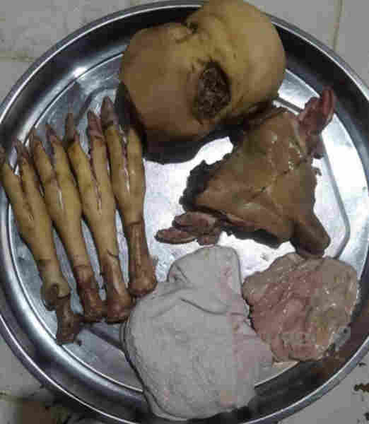 جوانترین و نایابترین سەروپێ - 2