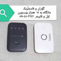 فاستڵینک مانگانە بە 15 هەزار فرییە.