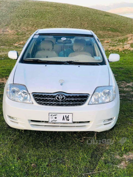 کرۆلا پیکاشۆ