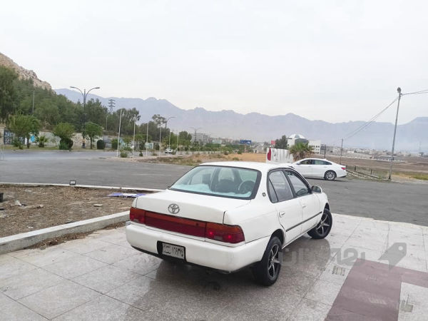کڕۆلای بەخ مۆدێل 1994 