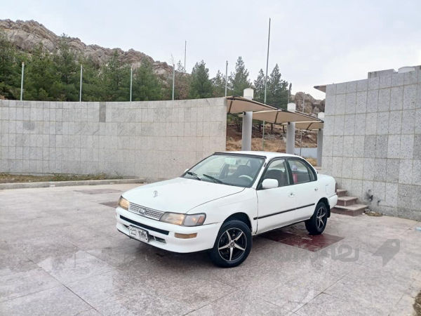 کڕۆلای بەخ مۆدێل 1994  - 2