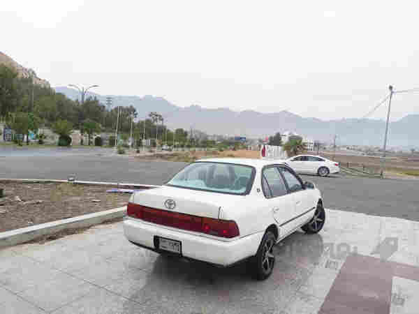 کڕۆلای بەخ مۆدێل 1994 