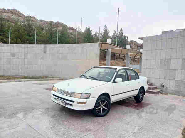 کڕۆلای بەخ مۆدێل 1994  - 2