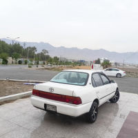 کڕۆلای بەخ مۆدێل 1994 