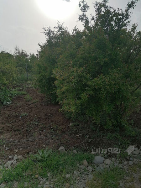 باخ بۆ فرۆشتن - 4