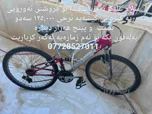 سلام علیک ئەم پاسکیلانە بۆ فرۆشتن  - 2