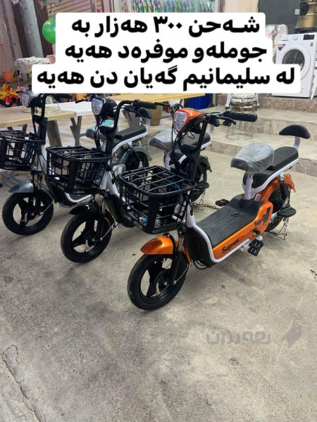 پاسکیل شەحن - 2