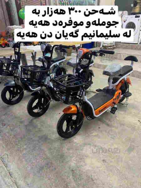 پاسکیل شەحن - 2