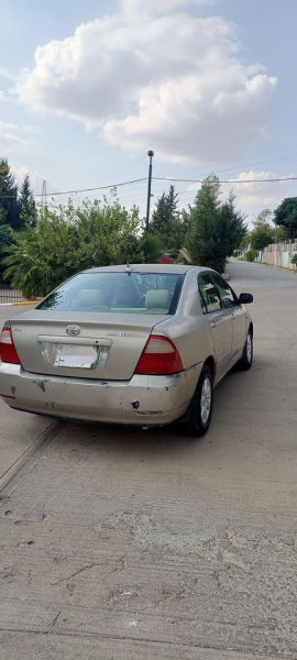 پیکاشۆ 2006 - 3