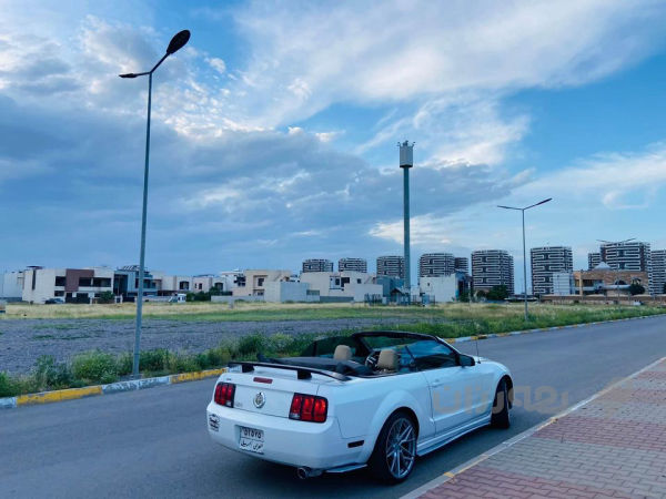 mustang 2009