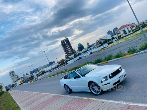 mustang 2009 - 2
