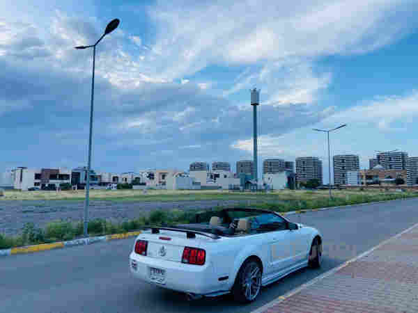 mustang 2009