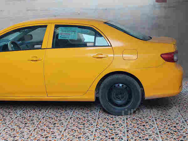 كرولا 2011 - 2