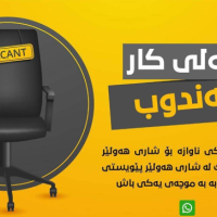 هالی کار : مەندوب ( مارکێتەر ) 