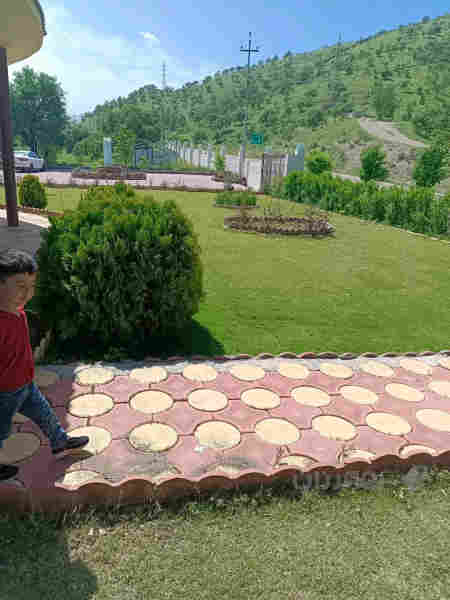 مەزرەعە بۆ کرێ لەشقلاوە رۆژانەو هەفتانە - 2
