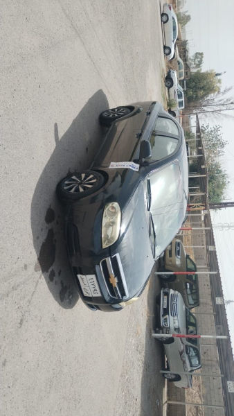 ئەڤیۆ 2009 گێر عادی