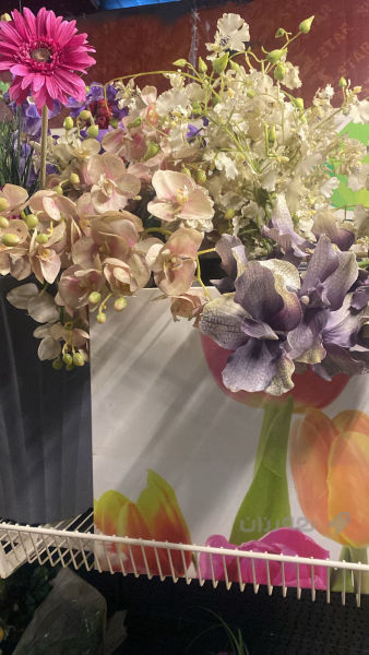 گوڵی دەستکر جوملە مفرد گەیاندنیش هەیە - 2