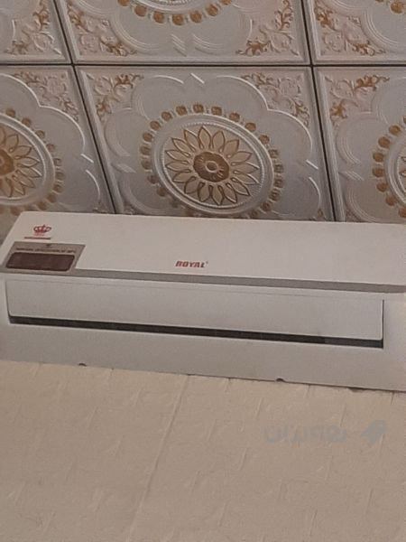 سپلیتی رۆیال