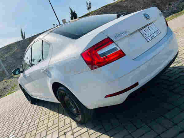 سكودا 2022 - 4