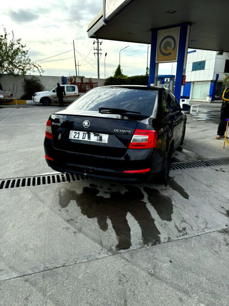 شکۆدای ئۆکتیڤا2014 - 2