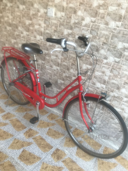 پاسكيلى باله ى يابانى اصلى لوك عجم 26 - 3